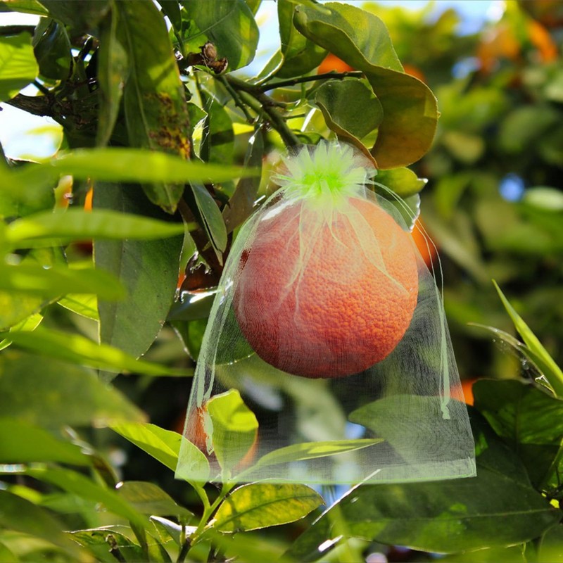 100 Stück Obstschutzbeutel, Netzabdeckungen mit Kordelzug Wiederverwendbare Schädlingsbarriere für Tomaten