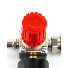 QWORK Air Compressor Pressure Regulator, 1/4 Inch EU Standard Pressure Control Valve with 175PSI 12Bar Pressure Gauge for Air Compressor (4 Holes)