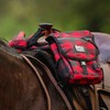 Jeffers Expression Horn Bag for Horses, Buffalo Check – Water