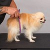 Dog and Cat Grooming Combs Contour Custom Coat Fur Finishing