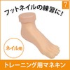 Training Foot (For Nails, Practice Mannequin, Feet, Foot Mannequin, Mannequin,