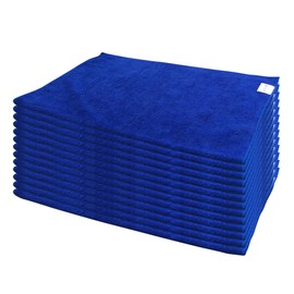 Nanoskin Speed Shine Microfiber Towels, 12 Pack – 16" x 16", Blue, 300 GSM, Soft & Lightweight Cloths for Quick Detailing, Polishing, Dusting, and General Car or Home Cleaning