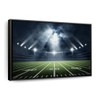 ElephantStock Grand Football Stadium Wall Art - Horizontal Floating Framed