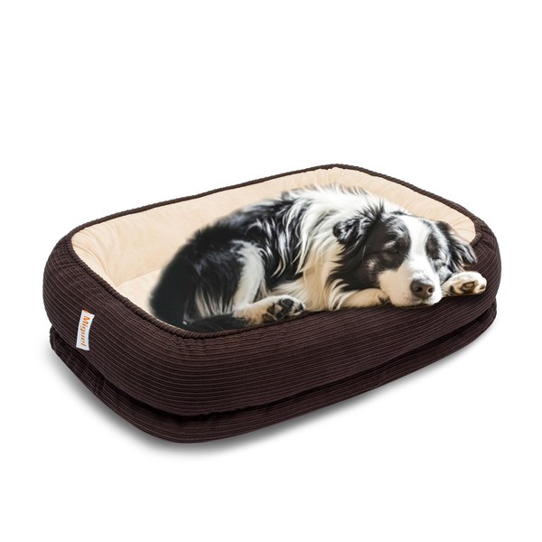 Miguel Orthopedic Dog Beds Large Sized Dog, Memory Foam Pet