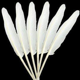 25pcs White Long Goose Feathers 10-12 Inch for Crafts DIY Wedding Party Home Decorations Accessories Pen Feathers