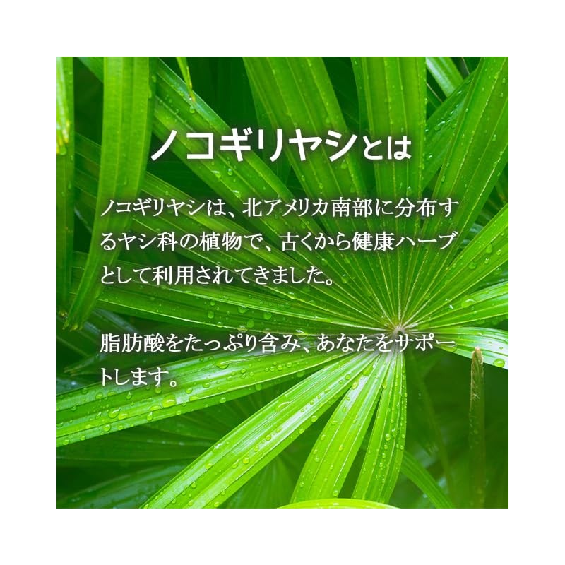 Lipsa C-142-3 Saw Palm, Approx. 1 Month Worth x 3