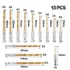 13-Piece Metal Drill Bit Set Titanium Coated HSS Twist Drill