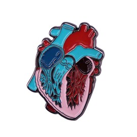 haohaoyu Human Organ Anatomical Heart Enamel Pin Brooch Anatomy Model Medical Science Badge Enamel Pin for DIY Backpacks Clothes Jeans Hats Badge and Gift