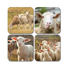 4 x Square Sheep Coasters - Lamb Animal Farm Farmer Pets Set Theme Gift #78369