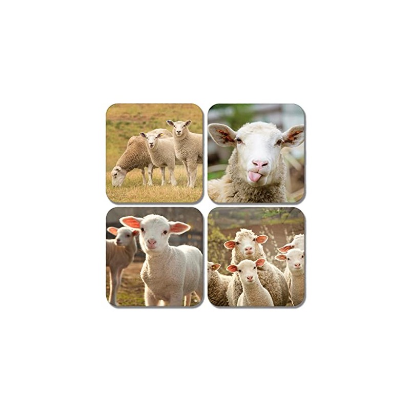 4 x Square Sheep Coasters - Lamb Animal Farm Farmer