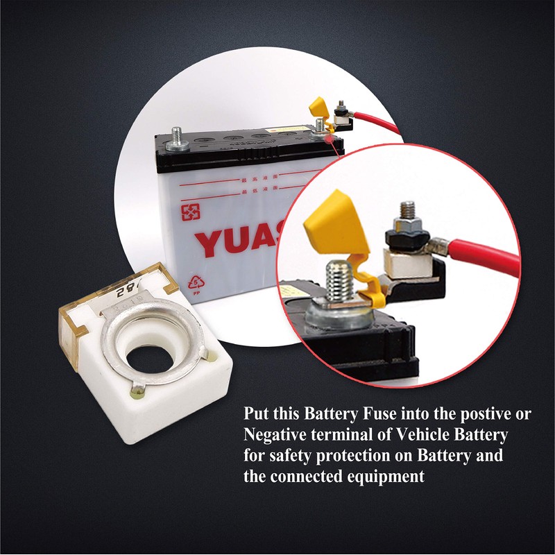 PTT Marine Rated Battery Fuse 250A 58V DC Max IP67