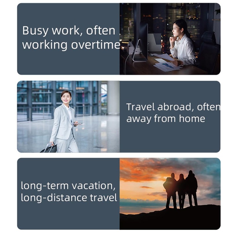 CHUSHEN Automatic Feeder, WiFi Intelligent Timing, 100ML Large Capacity, Goldfish