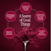 Premium Beetroot Powder 100g – 100% Pure Ground Red Beet