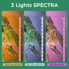 Grow Lights for Indoor Plants with Timer, 2PCS 60 Inch