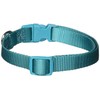 Zack & Zoey ⅝" Wide Nylon Dog Collar, Fits Necks