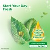 DARLIE Double Action Fresh + Clean Strong Mint Enamel Protect