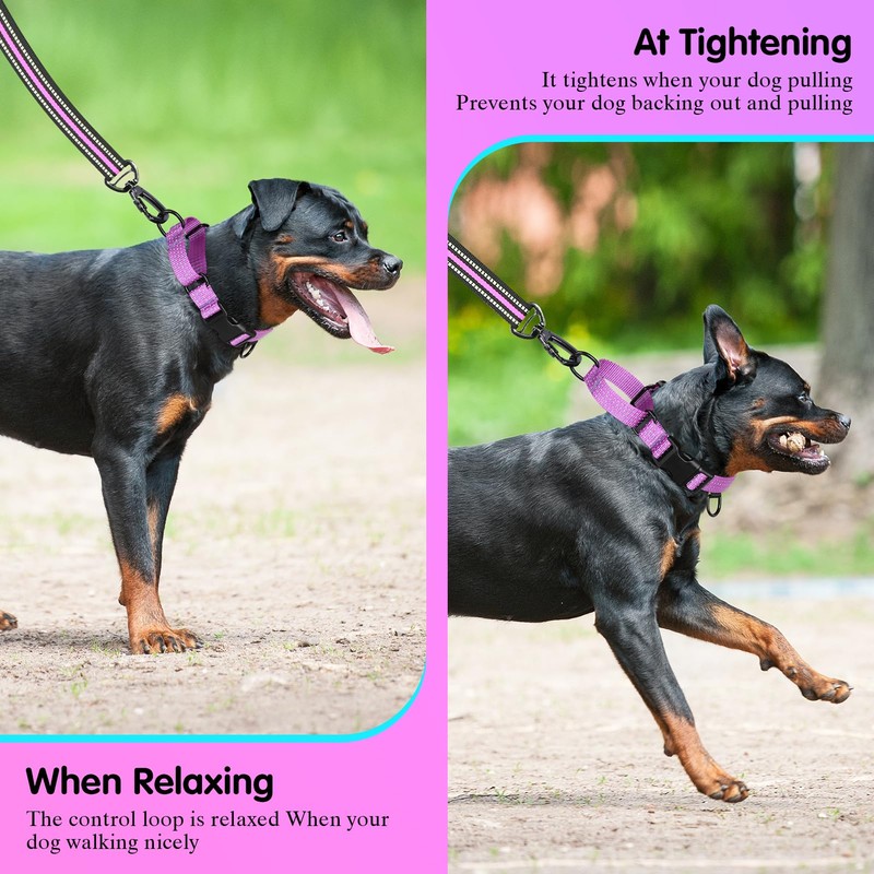 Bpawser Martingale Collar for Training Dogs 1 Count Adjustable Reflective