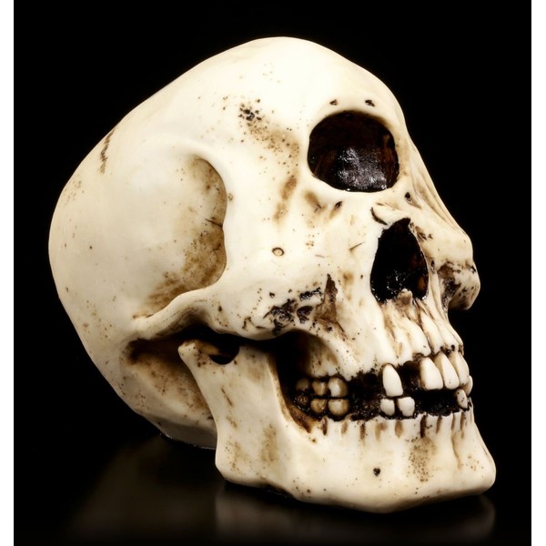 Skull Figurine – One-Eyed Cyclop – Skull Decorative Skull