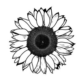 Sunflower Temporary Tattoo Large Size Pack Of 4
