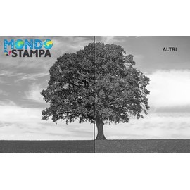 Mondo Stampa - TN248 XL Black (with Chip) (3000 Pages) Compatible Toner Cartridges Replacement for Brother DCP-L3520,L3560,MFC-L3740,L8340,HL-L3220,L8240