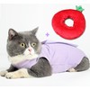 2PCS Cat Cone Collar and Cat Recovery Suit, Anti-Bite, Stop