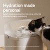 PETLIBRO RFID Collar Tag for Smart App Monitoring Cat Water