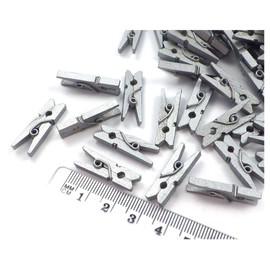 Sepkina 100 Small Cute Mini Decorative Pegs, Clips, Decorative Pegs, Wooden Pegs, Mini Pegs, Natural Silver White Gold Red, Mix, Colourful, 3,5cm