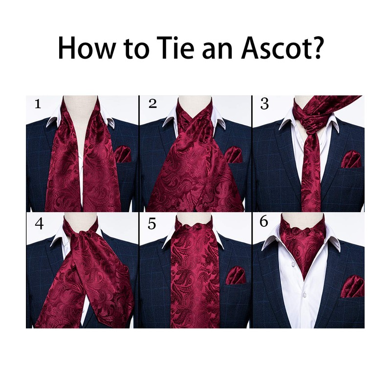 DiBanGu Luxury Ascot Self Tie Set for Men Woven Paisley