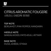[Men] Aintover Sunblock Cream [70ml] Natural extract peptide vitamin complex