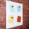 Sensei Neodymium Magnets / Notice Board Magnets / Fridge Magnets