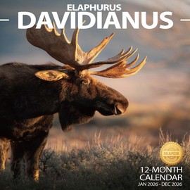 2026 Wall Calendar Elaphurus davidianus Planner Calendar, Hangable Monthly Wall Calendar with Large Blocks for Organizing & Planning, Academic Schedule, Home, Office & family, Thick & Sturdy Paper (12"x24" Open)