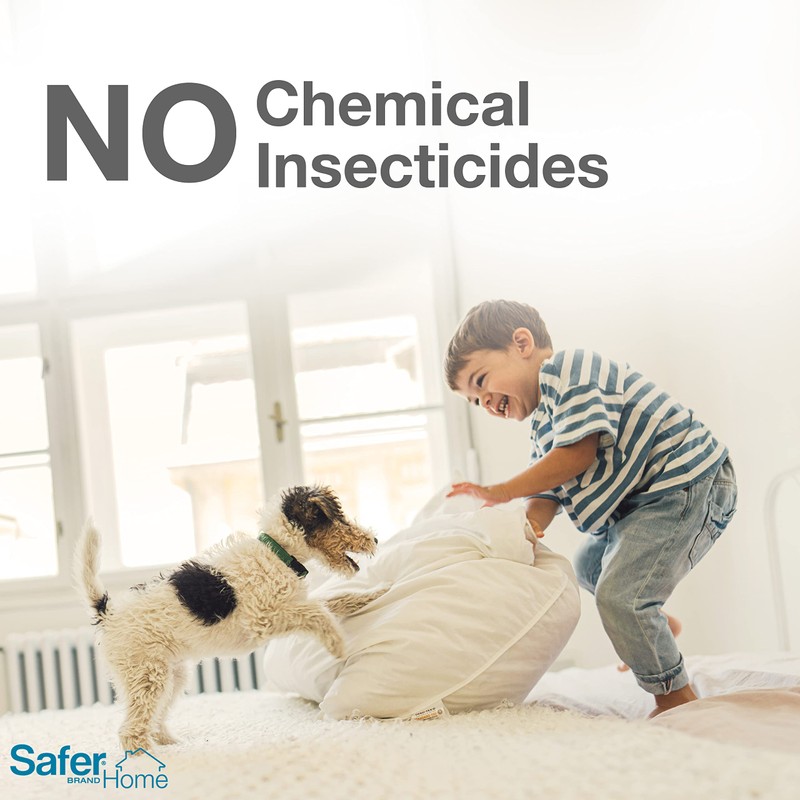 Safer Brand Safer Home SH400SR Indoor Spider, Ant, Cockroach, Centipede,