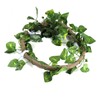 Reptile Climbing Branch Flexible Jungle 3.28ft Rattan 1Pc Vine(3.28ft Rattan+Scindapsus