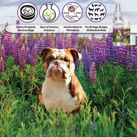 The Blissful Dog Olde English Bulldog Relax Aromatherapy Spray for Your Dog's Anxiety