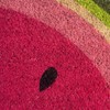 DII Colorful Design Natural Coir Doormat, 18x30, Watermelon