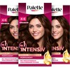 Palette Intensive Creme Colouration 4-6/850 Mocha Brown (3 x 115