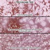 Elizavecca Milky Piggy Hell-Pore Clean Up Enzyme Powder Wash