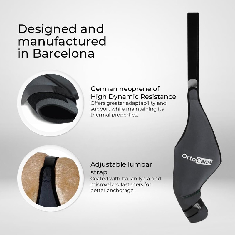 Ortocanis - Dog Knee Protector |Adjustable Neoprene Canine Knee Brace