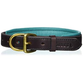 Perri's Padded Leather Dog Collar, Havana/Turquoise, Medium