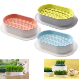 LAUPVXA Cat Grass Planter, Cat Grass, Cat Grass Kit, Cat Grass Growing Kit, Easy to Plant, Nursery Plants, Suitable for Indoor-B