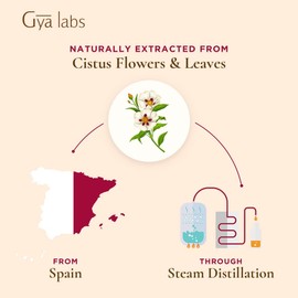 Cistus essential oil 10ml for stuffy nose, skin care, muscle pain - balsamic, woody scent / 시스투스 에센셜 오일 10ml 코막힘 피부관리 근육통- 발사믹, 우디 향