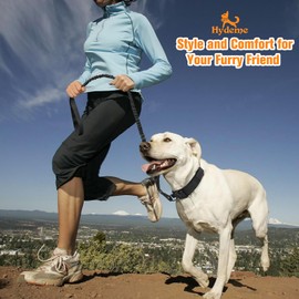 HYDEME Tactical Dog Collar Adjustable Nylon Collar with Control Handle and Heavy Metal Buckle for Medium and Large Dogs, with Patches&Airtags Case&Poop Bag Dispenser&Portable Bowl. (XL, Black-Set)