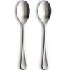 Nagao Antibacterial Dinner Spoon, Set of 2, 18-8 Stainless Steel,