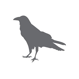Crow Silhouette Bird Vinyl Decal Car Water Bottle Sticker