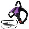 MENGTEQI Professional Dog Harness, Comfortable and Breathable, Adjustable for Small
