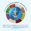 Birdman Proteína Vegetal Falcon Multipack 12 Sobres 30g Cu