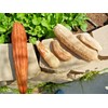 Little Seed Store 30+LUFFA SPONGE GOURD Seeds Loofah Loofa Lofa