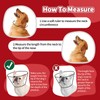 Dog Cone Collar Soft Cone for Medium Dogs After Surgery