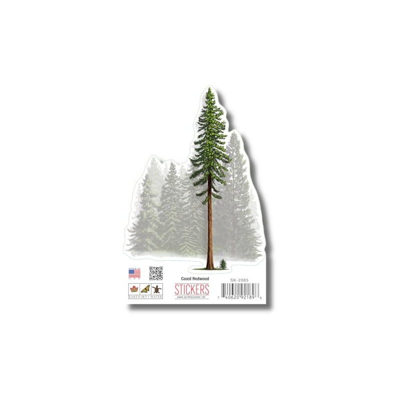 Earth Sky + Water - Coastal Redwood - 3.5_ Sticker