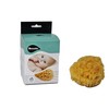 NATURAL SEA SPONGES Natural Sea Sponge for Bath and Shower
